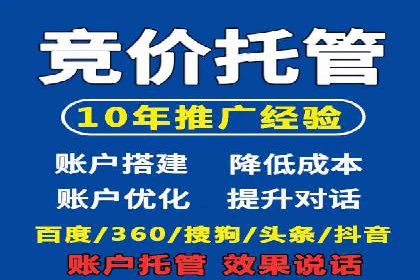 某行业巨头背后的SEM代运营服务公司